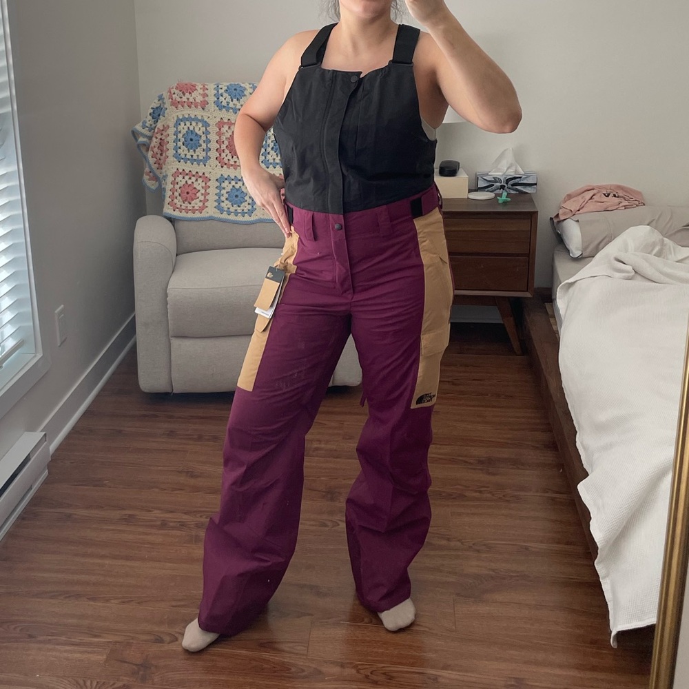The north face snow pants